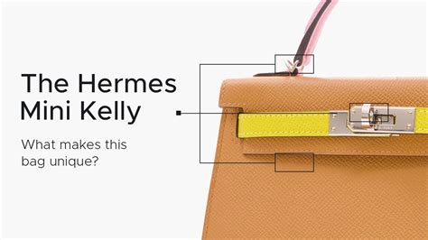 hermes kelly interior|hermes kelly family.